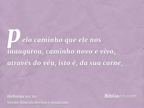 pelo caminho que ele nos inaugurou, caminho novo e vivo, através do véu, isto é, da sua carne,