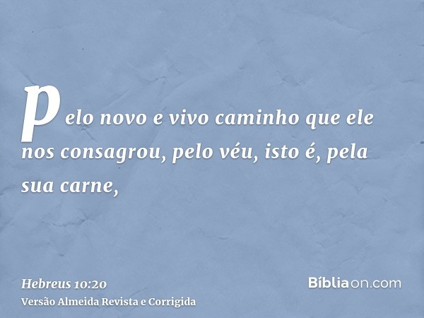 pelo novo e vivo caminho que ele nos consagrou, pelo véu, isto é, pela sua carne,
