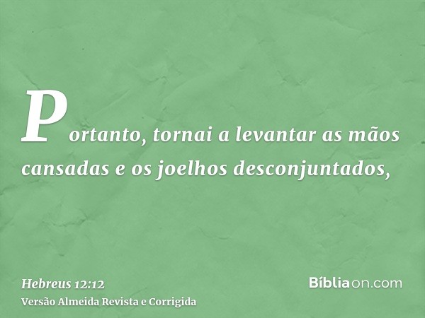 Portanto, tornai a levantar as mãos cansadas e os joelhos desconjuntados,
