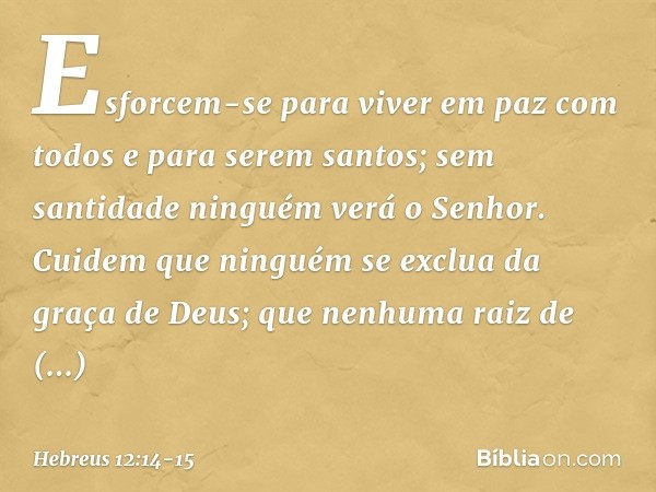 Esforcem-se para viver em paz com todos e para serem santos; sem santidade ninguém verá o Senhor. Cuidem que ninguém se exclua da graça de Deus; que nenhuma rai