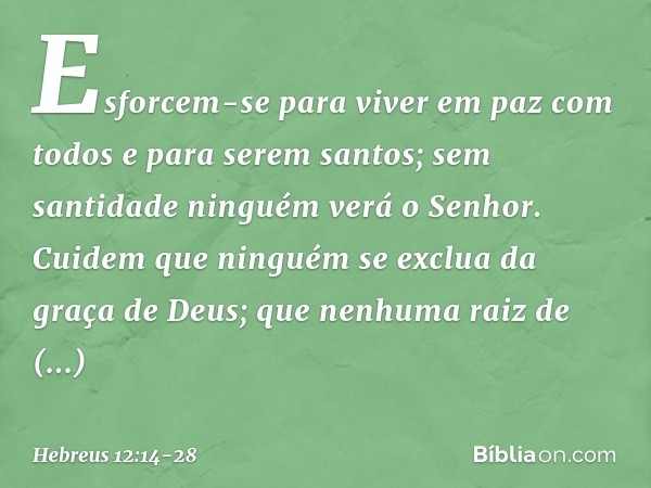 Esforcem-se para viver em paz com todos e para serem santos; sem santidade ninguém verá o Senhor. Cuidem que ninguém se exclua da graça de Deus; que nenhuma rai