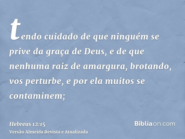 tendo cuidado de que ninguém se prive da graça de Deus, e de que nenhuma raiz de amargura, brotando, vos perturbe, e por ela muitos se contaminem;