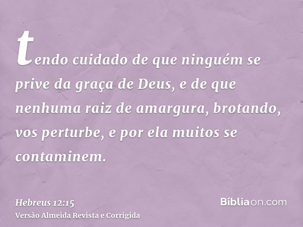 tendo cuidado de que ninguém se prive da graça de Deus, e de que nenhuma raiz de amargura, brotando, vos perturbe, e por ela muitos se contaminem.