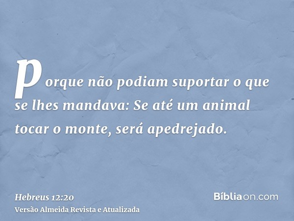 porque não podiam suportar o que se lhes mandava: Se até um animal tocar o monte, será apedrejado.