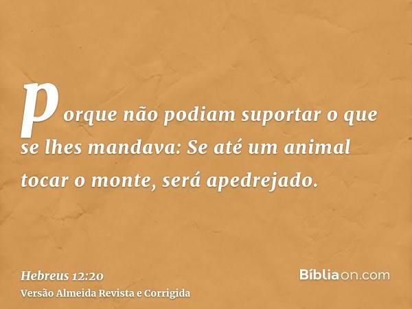 porque não podiam suportar o que se lhes mandava: Se até um animal tocar o monte, será apedrejado.