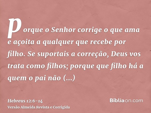 porque o Senhor corrige o que ama e açoita a qualquer que recebe por filho.Se suportais a correção, Deus vos trata como filhos; porque que filho há a quem o pai