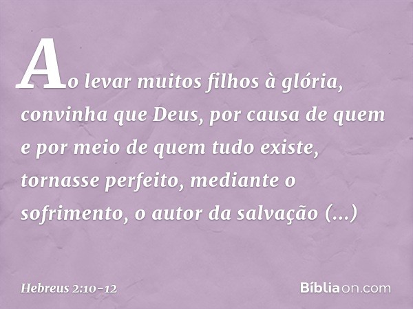 Ao levar muitos filhos à glória, convinha que Deus, por causa de quem e por meio de quem tudo existe, tornasse perfeito, mediante o sofrimento, o autor da salva