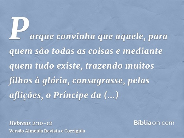 Porque convinha que aquele, para quem são todas as coisas e mediante quem tudo existe, trazendo muitos filhos à glória, consagrasse, pelas aflições, o Príncipe 