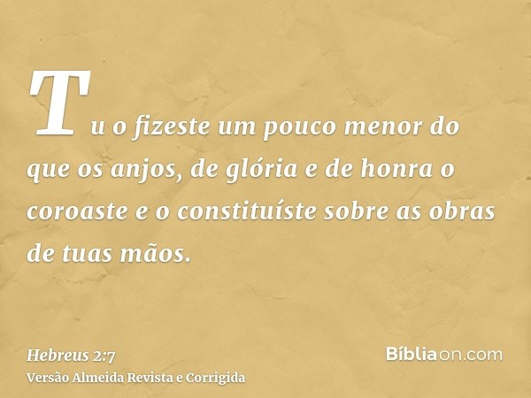 Tu o fizeste um pouco menor do que os anjos, de glória e de honra o coroaste e o constituíste sobre as obras de tuas mãos.