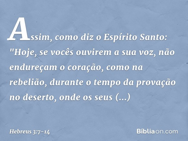 Assim, como diz o Espírito Santo:
"Hoje, se vocês ouvirem
a sua voz, não endureçam o coração,
como na rebelião,
durante o tempo da provação no deserto, onde os
