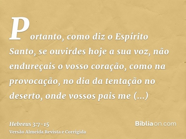 Portanto, como diz o Espírito Santo, se ouvirdes hoje a sua voz,não endureçais o vosso coração, como na provocação, no dia da tentação no deserto,onde vossos pa