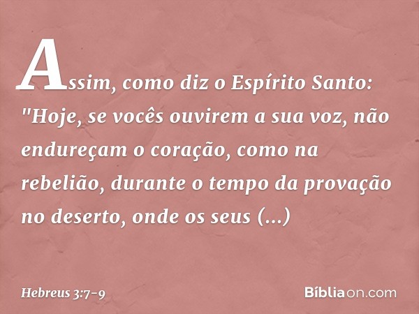 Assim, como diz o Espírito Santo:
"Hoje, se vocês ouvirem
a sua voz, não endureçam o coração,
como na rebelião,
durante o tempo da provação no deserto, onde os 