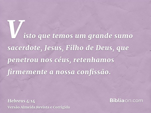 Visto que temos um grande sumo sacerdote, Jesus, Filho de Deus, que penetrou nos céus, retenhamos firmemente a nossa confissão.