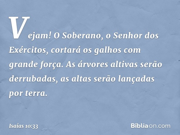 Vejam! O Soberano,
o Senhor dos Exércitos,
cortará os galhos com grande força.
As árvores altivas serão derrubadas,
as altas serão lançadas por terra. -- Isaías