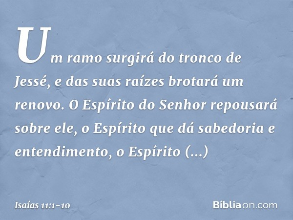 Um ramo surgirá do tronco de Jessé,
e das suas raízes brotará um renovo. O Espírito do Senhor
repousará sobre ele,
o Espírito que dá sabedoria e entendimento,
o