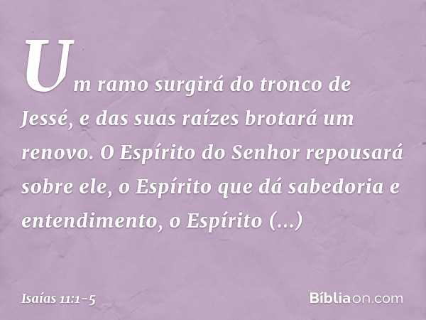 Um ramo surgirá do tronco de Jessé,
e das suas raízes brotará um renovo. O Espírito do Senhor
repousará sobre ele,
o Espírito que dá sabedoria e entendimento,
o