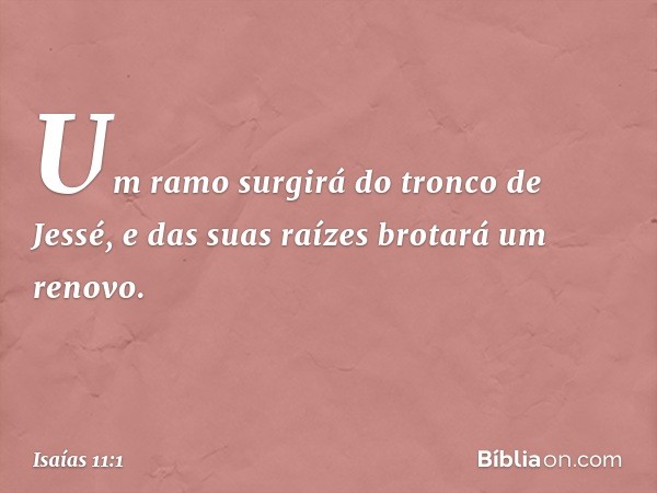 Um ramo surgirá do tronco de Jessé,
e das suas raízes brotará um renovo. -- Isaías 11:1