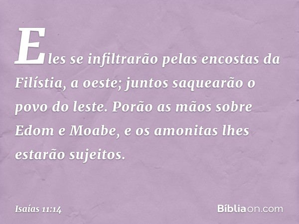 Eles se infiltrarão pelas encostas
da Filístia, a oeste;
juntos saquearão o povo do leste.
Porão as mãos sobre Edom e Moabe,
e os amonitas lhes estarão sujeitos