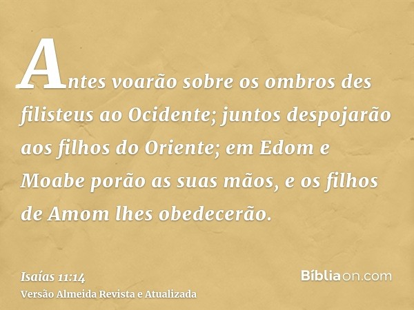 Antes voarão sobre os ombros des filisteus ao Ocidente; juntos despojarão aos filhos do Oriente; em Edom e Moabe porão as suas mãos, e os filhos de Amom lhes ob