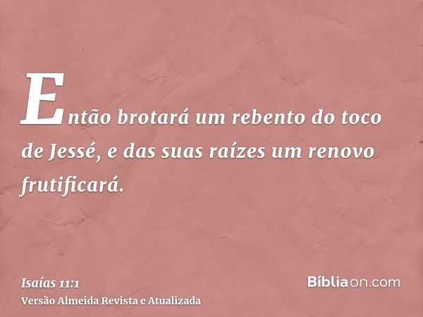 Então brotará um rebento do toco de Jessé, e das suas raízes um renovo frutificará.