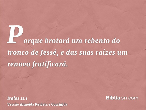 Porque brotará um rebento do tronco de Jessé, e das suas raízes um renovo frutificará.