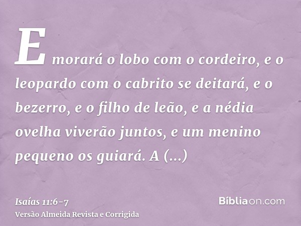 E morará o lobo com o cordeiro, e o leopardo com o cabrito se deitará, e o bezerro, e o filho de leão, e a nédia ovelha viverão juntos, e um menino pequeno os g