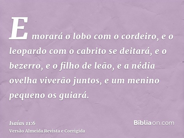 E morará o lobo com o cordeiro, e o leopardo com o cabrito se deitará, e o bezerro, e o filho de leão, e a nédia ovelha viverão juntos, e um menino pequeno os g