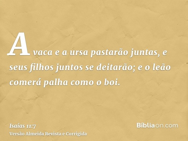 A vaca e a ursa pastarão juntas, e seus filhos juntos se deitarão; e o leão comerá palha como o boi.