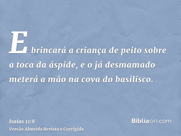 E brincará a criança de peito sobre a toca da áspide, e o já desmamado meterá a mão na cova do basilisco.