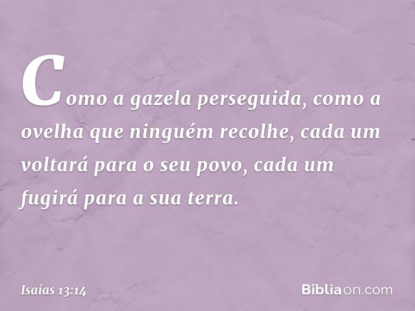 Como a gazela perseguida,
como a ovelha que ninguém recolhe,
cada um voltará para o seu povo,
cada um fugirá para a sua terra. -- Isaías 13:14