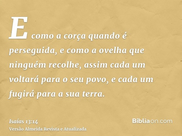 E como a corça quando é perseguida, e como a ovelha que ninguém recolhe, assim cada um voltará para o seu povo, e cada um fugirá para a sua terra.