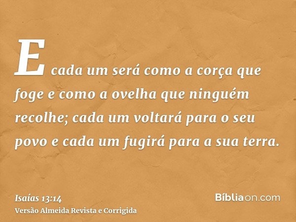 E cada um será como a corça que foge e como a ovelha que ninguém recolhe; cada um voltará para o seu povo e cada um fugirá para a sua terra.