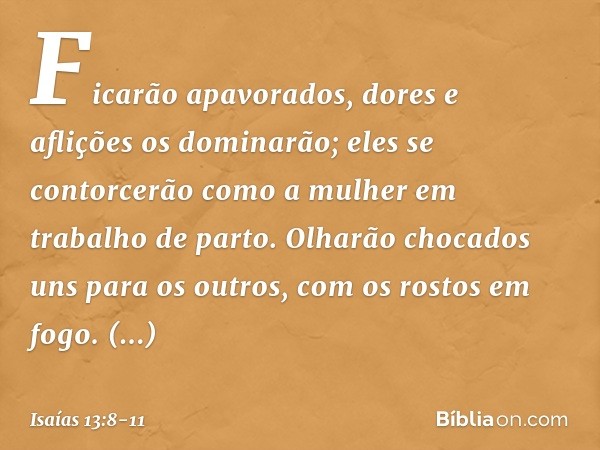 Ficarão apavorados,
dores e aflições os dominarão;
eles se contorcerão como a mulher
em trabalho de parto.
Olharão chocados uns para os outros,
com os rostos em
