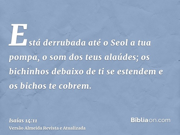 Está derrubada até o Seol a tua pompa, o som dos teus alaúdes; os bichinhos debaixo de ti se estendem e os bichos te cobrem.