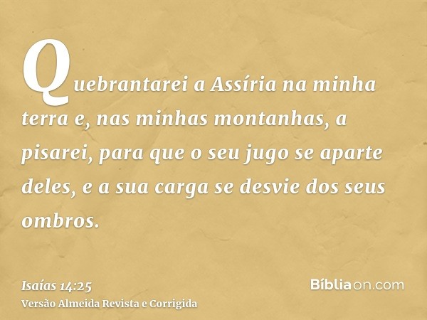 Quebrantarei a Assíria na minha terra e, nas minhas montanhas, a pisarei, para que o seu jugo se aparte deles, e a sua carga se desvie dos seus ombros.