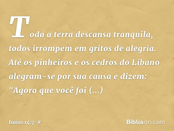 Toda a terra descansa tranquila,
todos irrompem em gritos de alegria. Até os pinheiros e os cedros do Líbano
alegram-se por sua causa e dizem:
"Agora que você f