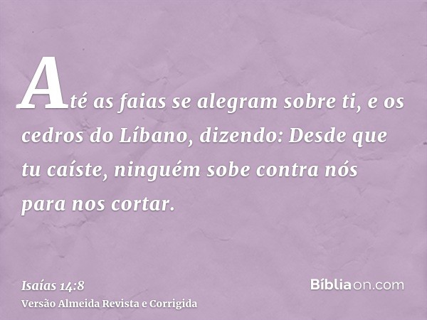 Até as faias se alegram sobre ti, e os cedros do Líbano, dizendo: Desde que tu caíste, ninguém sobe contra nós para nos cortar.