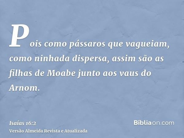 Pois como pássaros que vagueiam, como ninhada dispersa, assim são as filhas de Moabe junto aos vaus do Arnom.