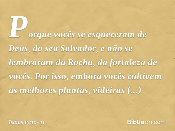 Porque vocês se esqueceram de Deus,
do seu Salvador,
e não se lembraram da Rocha,
da fortaleza de vocês.
Por isso, embora vocês cultivem
as melhores plantas,
vi