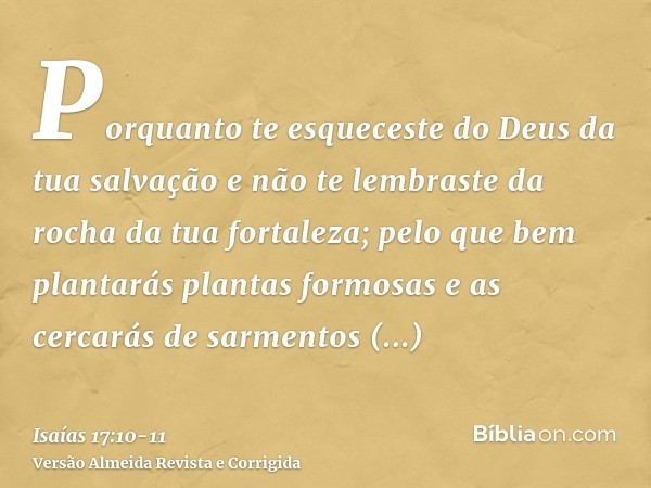 Porquanto te esqueceste do Deus da tua salvação e não te lembraste da rocha da tua fortaleza; pelo que bem plantarás plantas formosas e as cercarás de sarmentos