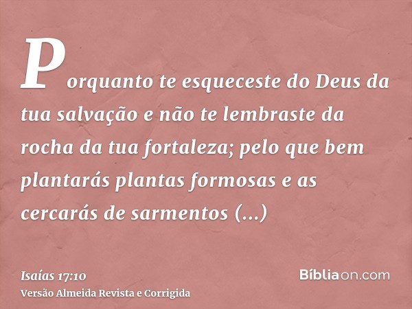 Porquanto te esqueceste do Deus da tua salvação e não te lembraste da rocha da tua fortaleza; pelo que bem plantarás plantas formosas e as cercarás de sarmentos
