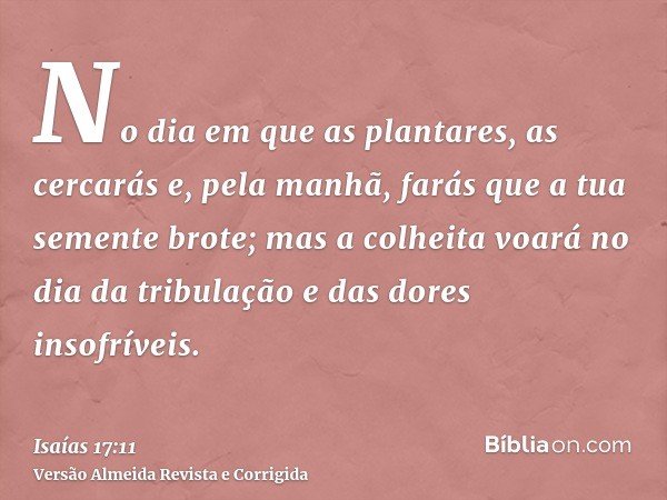 No dia em que as plantares, as cercarás e, pela manhã, farás que a tua semente brote; mas a colheita voará no dia da tribulação e das dores insofríveis.