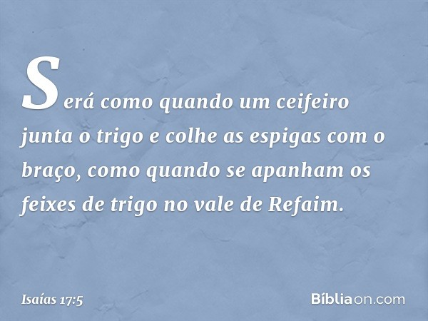 Será como quando
um ceifeiro junta o trigo
e colhe as espigas com o braço,
como quando se apanham
os feixes de trigo
no vale de Refaim. -- Isaías 17:5