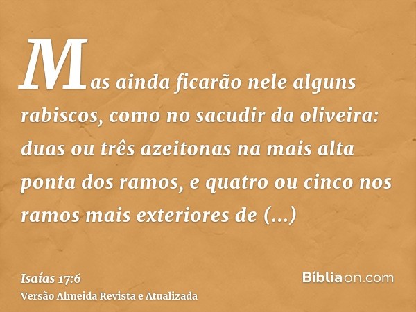 Mas ainda ficarão nele alguns rabiscos, como no sacudir da oliveira: duas ou três azeitonas na mais alta ponta dos ramos, e quatro ou cinco nos ramos mais exter