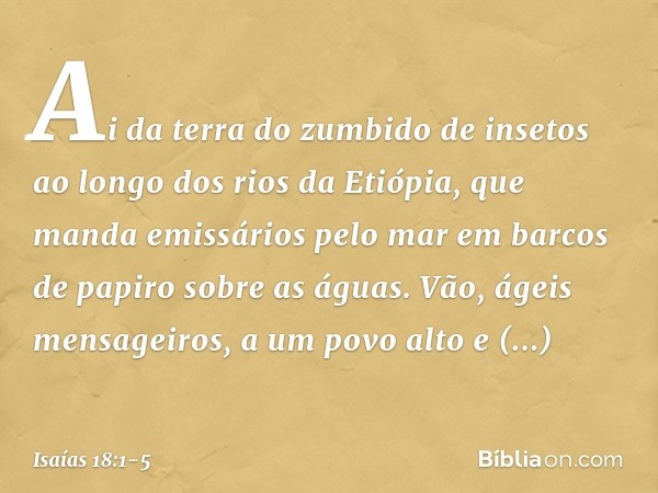 Ai da terra do zumbido de insetos
ao longo dos rios da Etiópia, que manda emissários pelo mar
em barcos de papiro sobre as águas.
Vão, ágeis mensageiros,
a um p