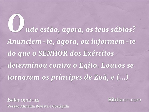 Onde estão, agora, os teus sábios? Anunciem-te, agora, ou informem-te do que o SENHOR dos Exércitos determinou contra o Egito.Loucos se tornaram os príncipes de