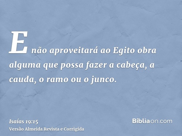 E não aproveitará ao Egito obra alguma que possa fazer a cabeça, a cauda, o ramo ou o junco.