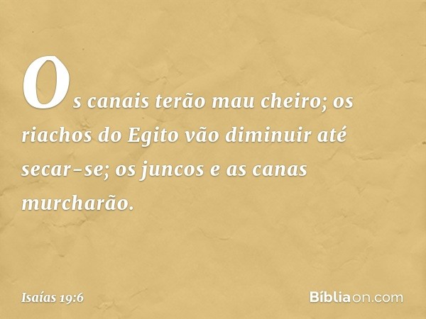 Os canais terão mau cheiro;
os riachos do Egito
vão diminuir até secar-se;
os juncos e as canas murcharão. -- Isaías 19:6