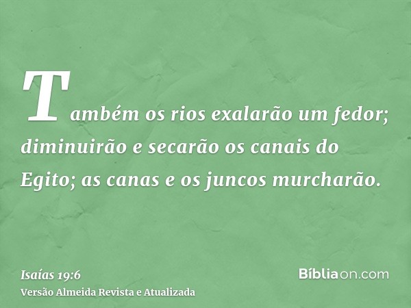 Também os rios exalarão um fedor; diminuirão e secarão os canais do Egito; as canas e os juncos murcharão.