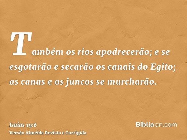 Também os rios apodrecerão; e se esgotarão e secarão os canais do Egito; as canas e os juncos se murcharão.
